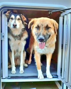 20210922_165915_jpg (Groß)