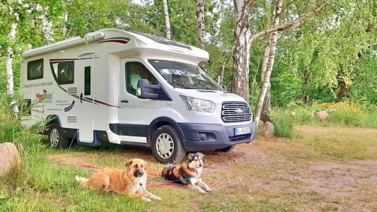 20220531_182102_jpg (Groß)